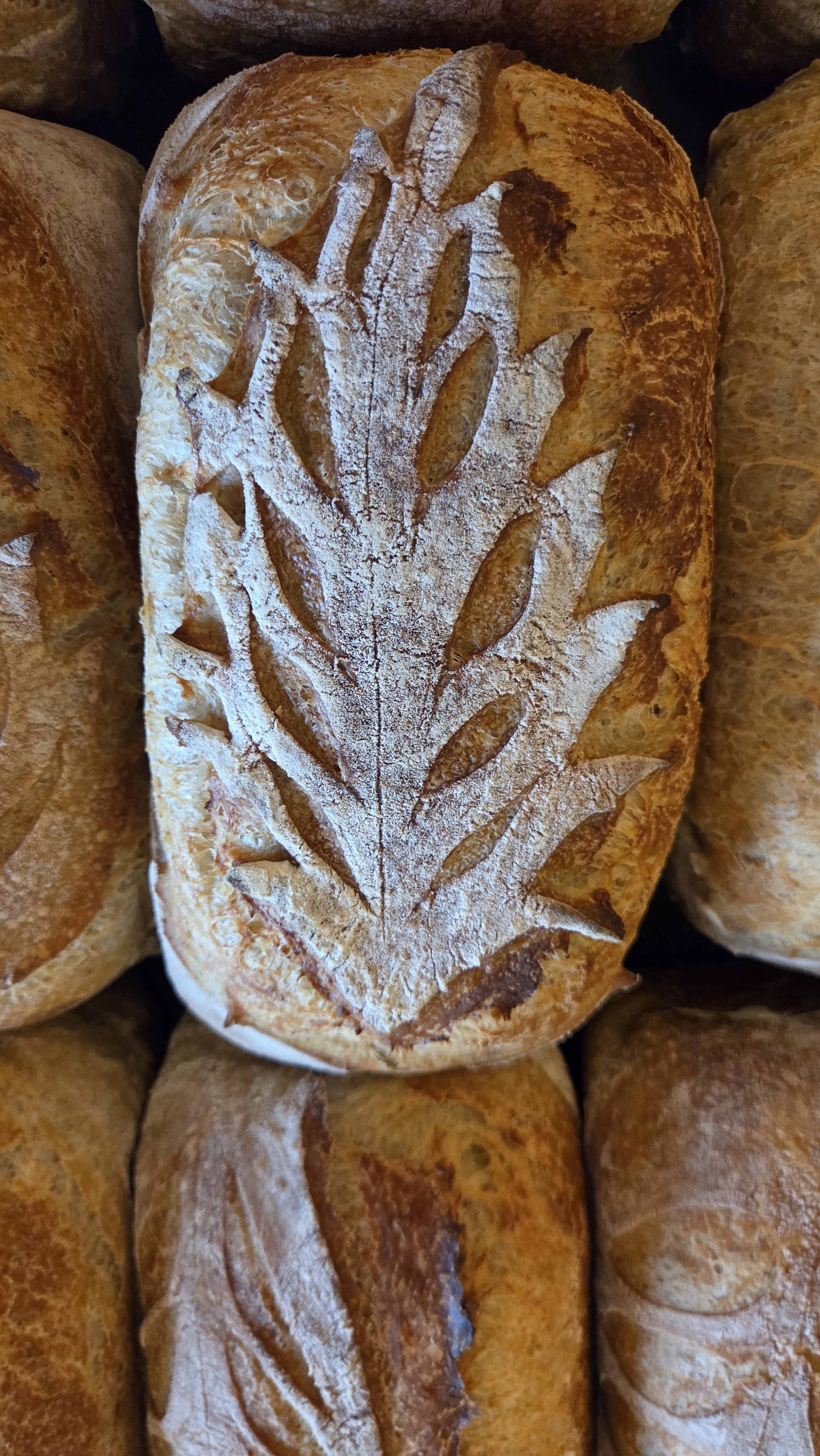 Small Whole Wheat Loaf